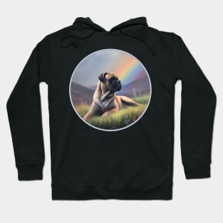 Bullmastiff Memorial Rainbow Bridge Colorful Dog Art Hoodie